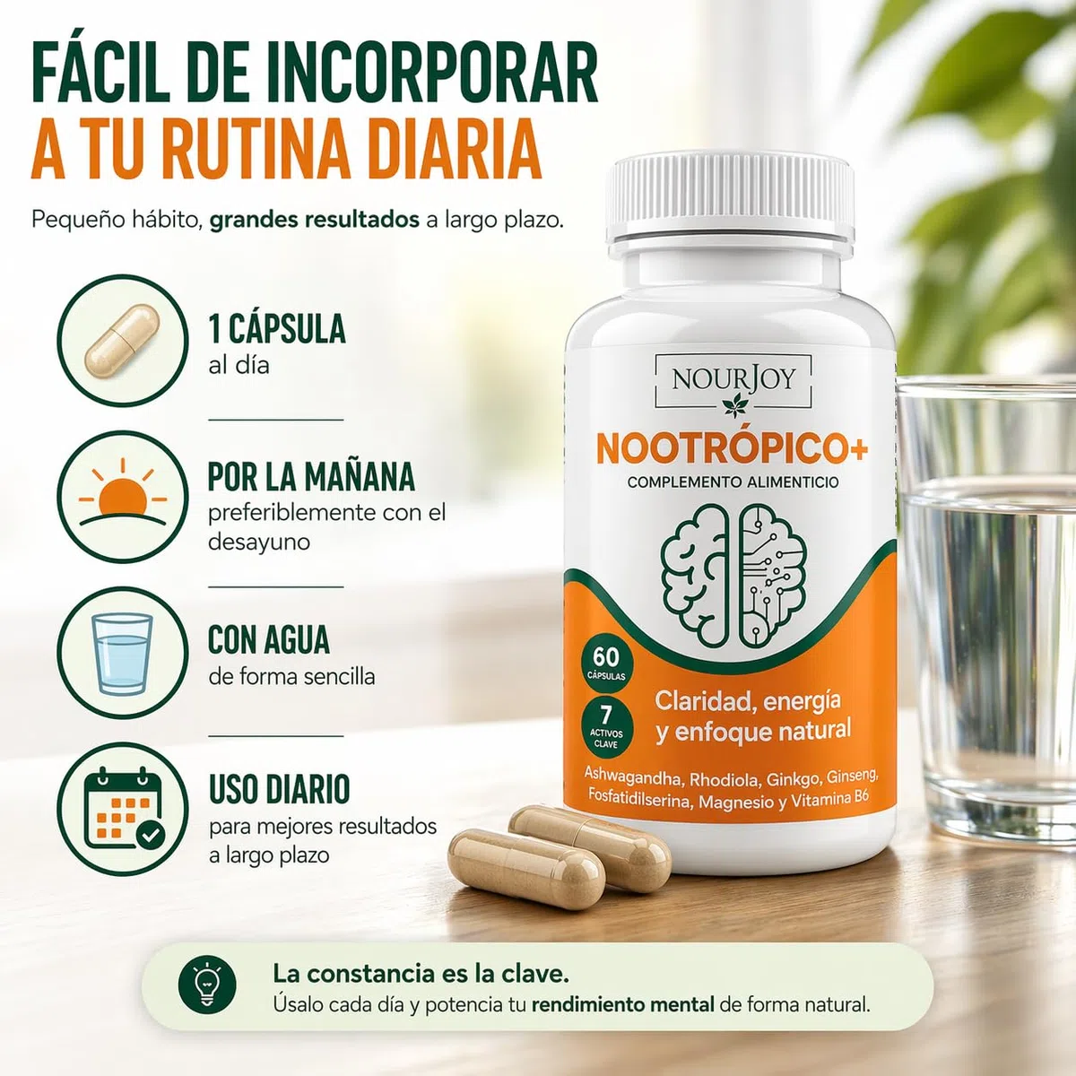 NOURJOY Nootrópico Natural - Memoria, Concentración y Energía Mental con Ashwagandha y Ginkgo Biloba 60 Cápsulas