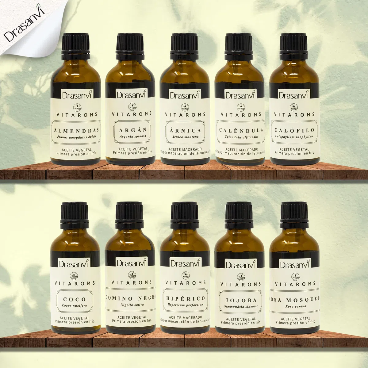 Drasanvi VITAROMS ACEITE VEGETAL ROSA MOSQUETA CERTIFICADO BIO ECOCERT - Primera presión en frío - Estimula la regeneración natural de la piel - VEGANO - SIN GLUTEN - 50 ml