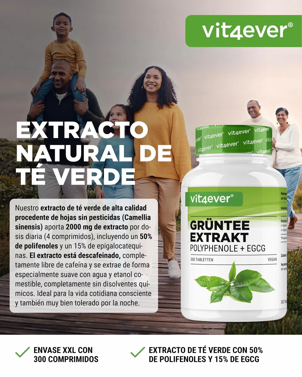 Extracto de Té Verde 300 Comprimidos dosis alta - 2000mg Extracto, 300mg EGCG & 1100mg Polifenoles por dosis diaria - Vegano