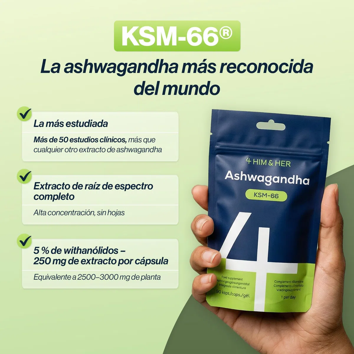 Ashwagandha KSM-66 Cápsulas 250mg Alta Potencia – 5% Withanolides – 90 Cápsulas Veganas (Suministro 3 Meses) – con B6 para Cansancio & B5 para Rendimiento Mental – para Hombres y Mujeres – 4 HIM & HER