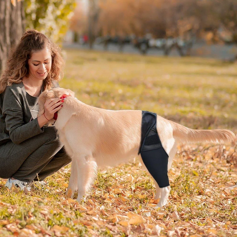 Rodillera Para Perros, Vendaje Para Rodilla, Ayuda Para Recuperación De Mascotas En Caso De Rotura Del Ligamento Cruzado Anterior (lca), Luxación Rotuliana, Displasia De Piernas Y Osteoartritis.