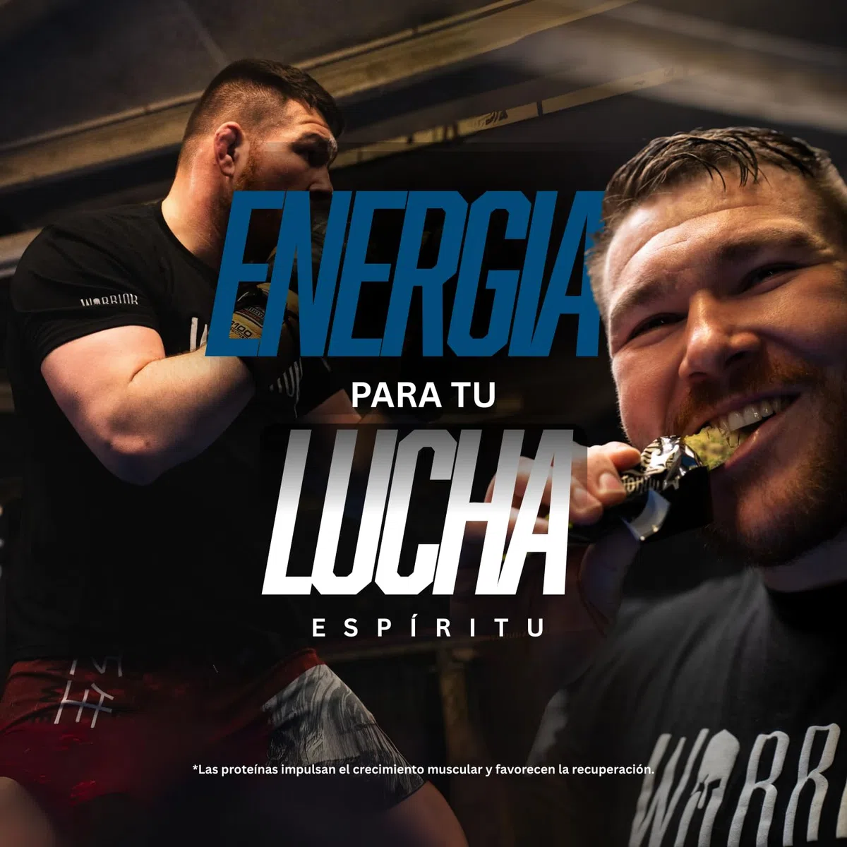 Barritas de proteína cruda Warrior Flapjack (20 g) - 12 x 75 g - Snack saludable de avena para el desayuno que aporta energía y crecimiento muscular (Baya de miel)