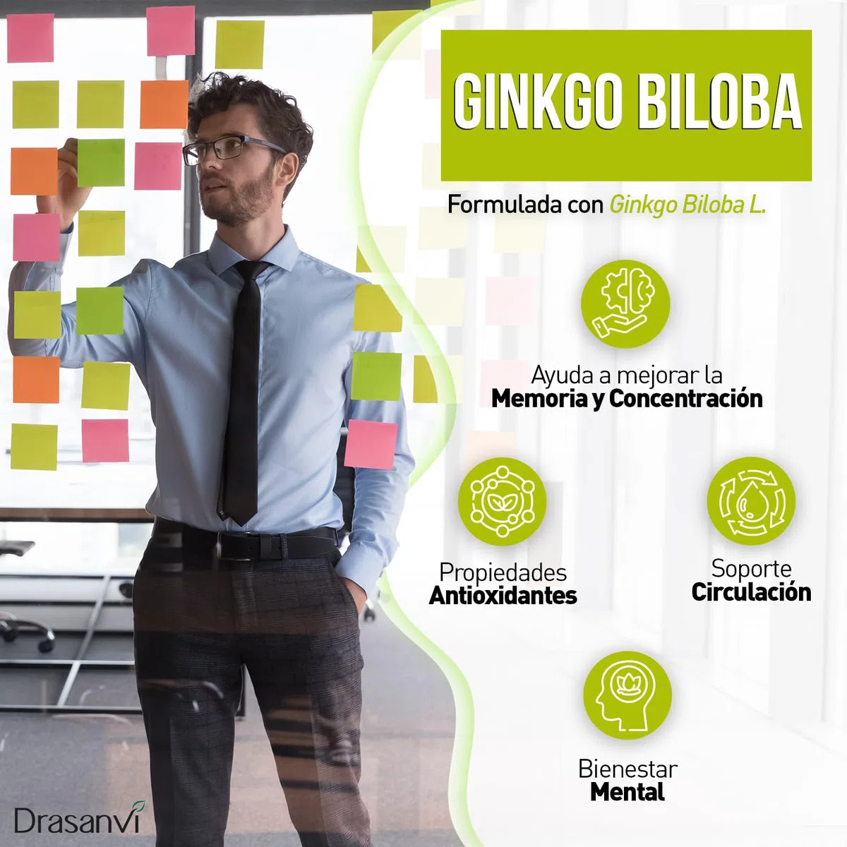 Ginkgo Biloba 30 Cápsulas Drasanvi | Extracto Estandarizado Alta Concentración | Apoyo a la Memoria, Concentración y Circulación | 1 Cápsula Diaria | Suplemento Natural