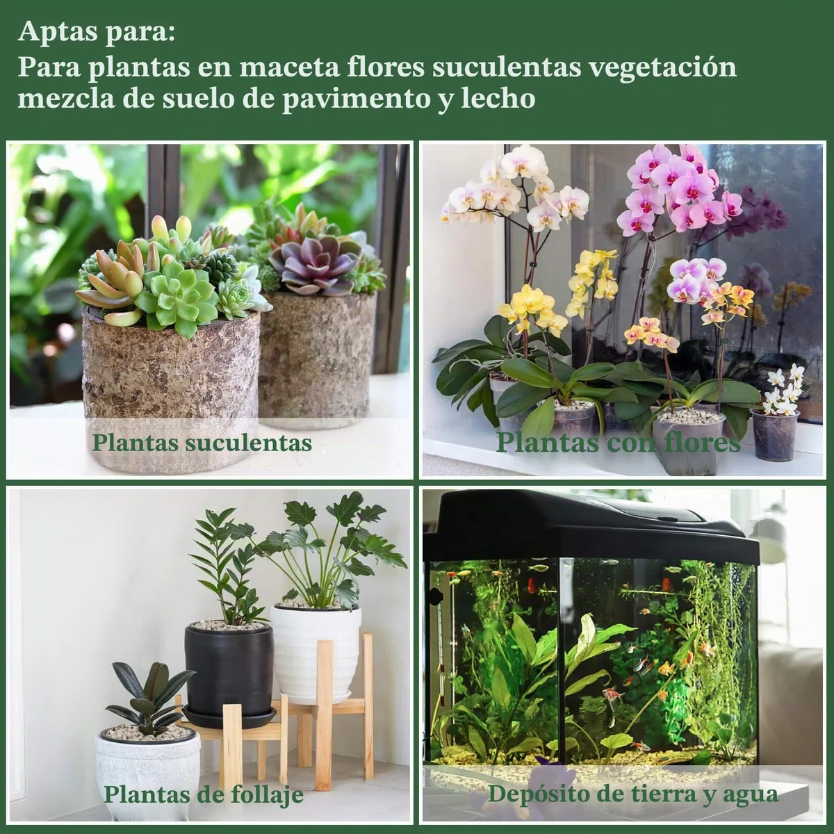 Sukh Piedra pómez gris – Piedra pómez para plantas, suculentas, cactus, bonsái, orquídeas, acondicionador del suelo, 410 g