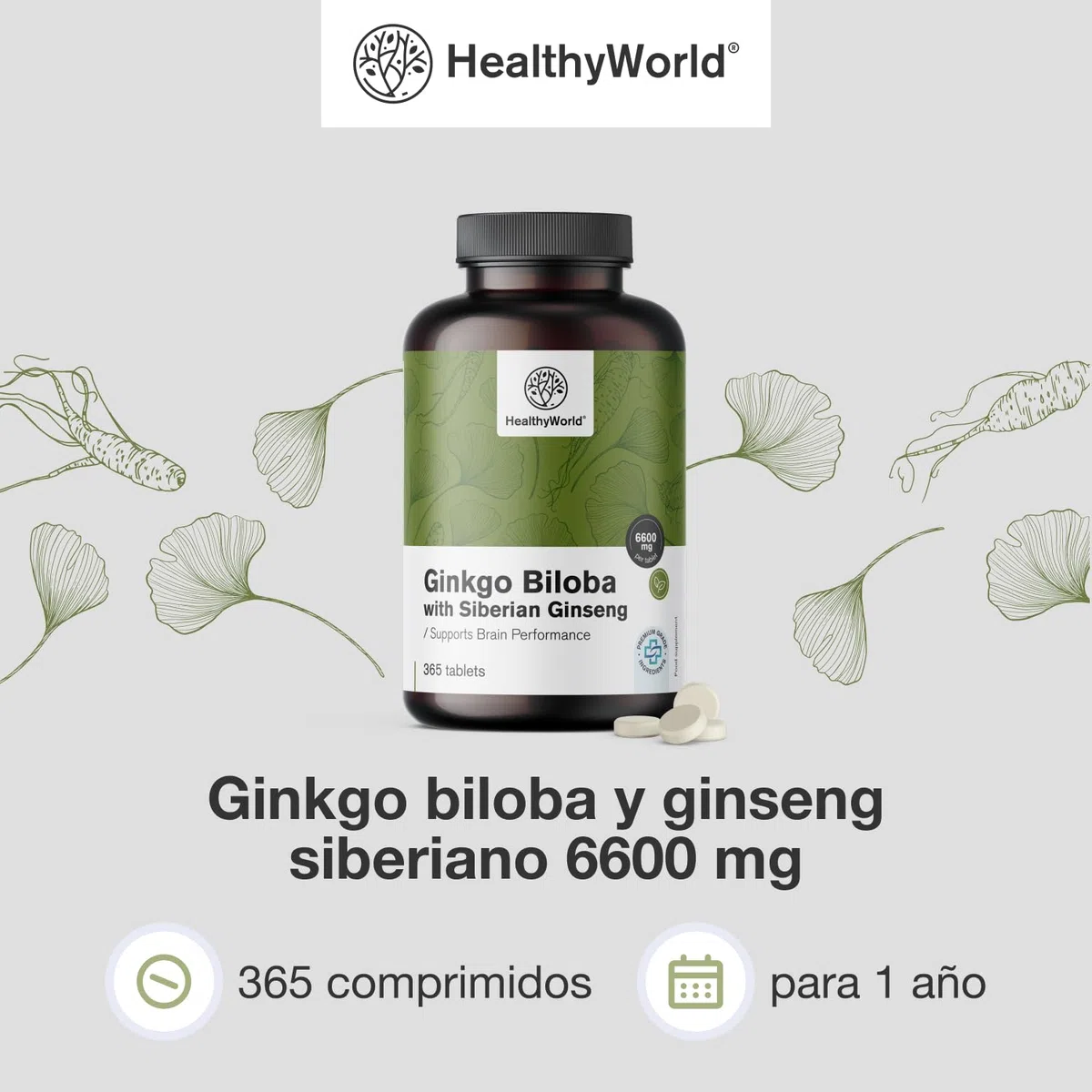 HealthyWorld Ginkgo Biloba con ginseng siberiano 6600 mg - Apoyo a la función cognitiva - 365 comprimidos para un suministro de 1 año - Extracto de Ginkgo 50:1 (120 mg) y 10:1 (60 mg)