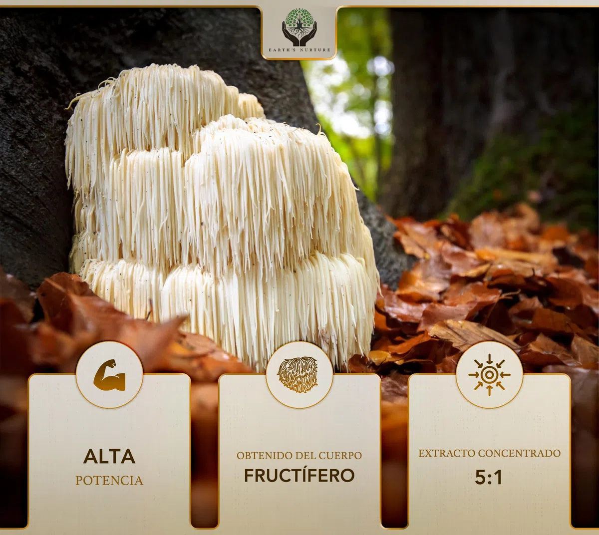 EN Melena de Leon Suplemento | 90 Cápsulas de Lions Mane | 1000mg Hongos Melana de Leon de Alta Potencia por Porción | Sin OGM, Gluten, Lácteos y Alérgenos | Hecho en el RU