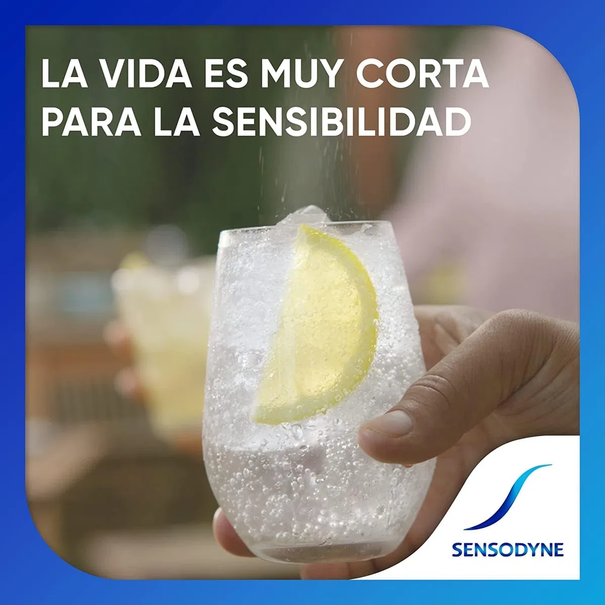 Sensodyne Repair & Protect Pastas de Dientes Sabor Menta, Protección y Alivio Frente a Sensibilidad Dental, Pack 4x75ml