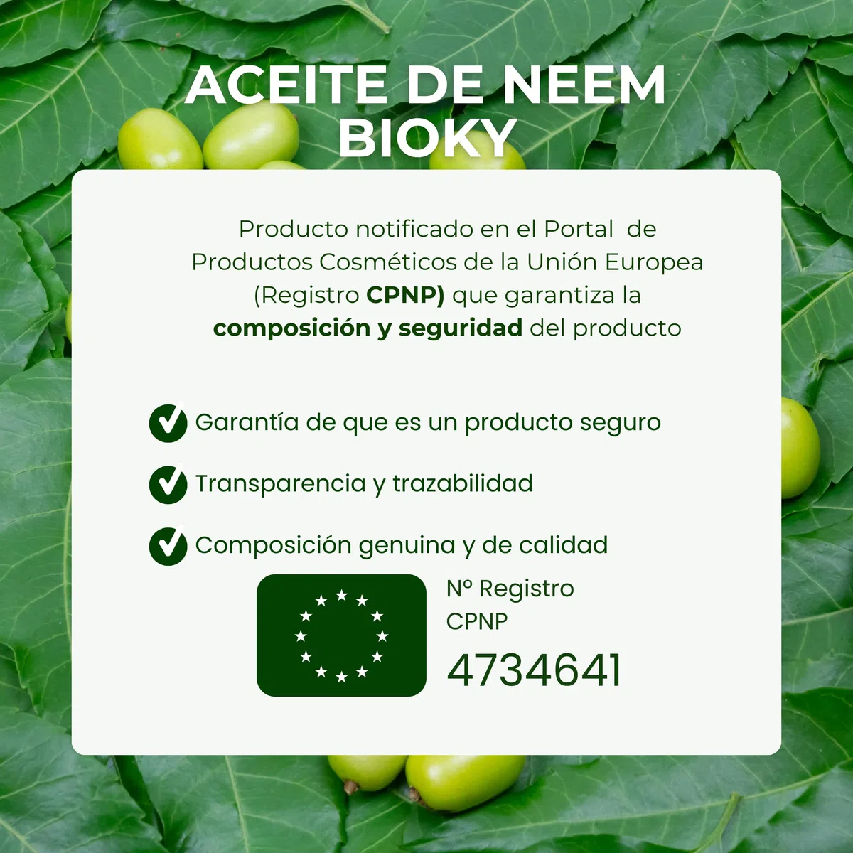 Aceite de Neem para la Piel 500ml - Aceite Vegetal Prensado en Frío | Cuerpo, Piel, Cabello | Prensado en Frío | Olor Característico Neem (500 ml)