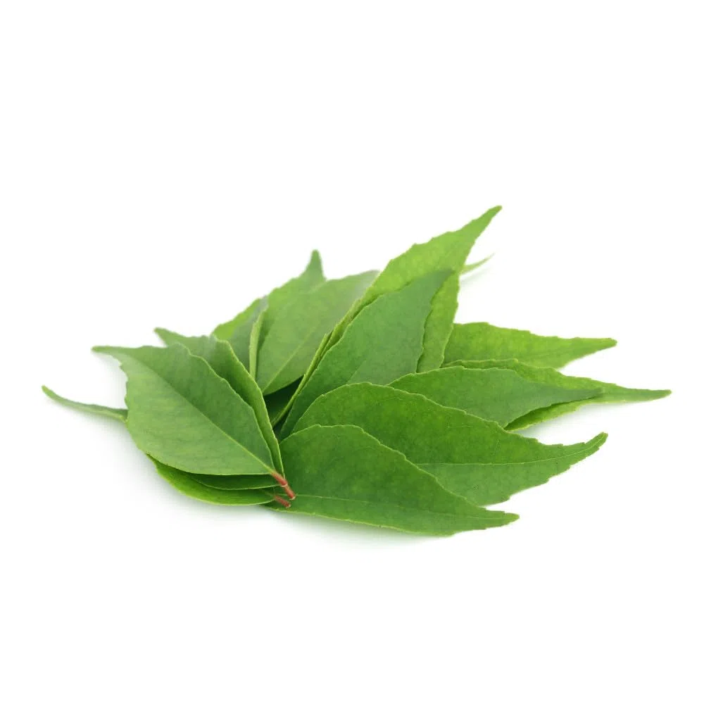 HIERRO DE ORIGEN VEGETAL (Murraya koenigii) * 233.5 mg / 60 cápsulas * Deficiencias (hemoglobina), Energia (fatiga), Inmunitario *