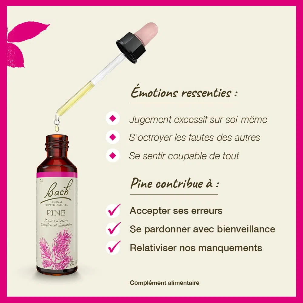 Fleurs de bach original n 24 pine - 20 ml