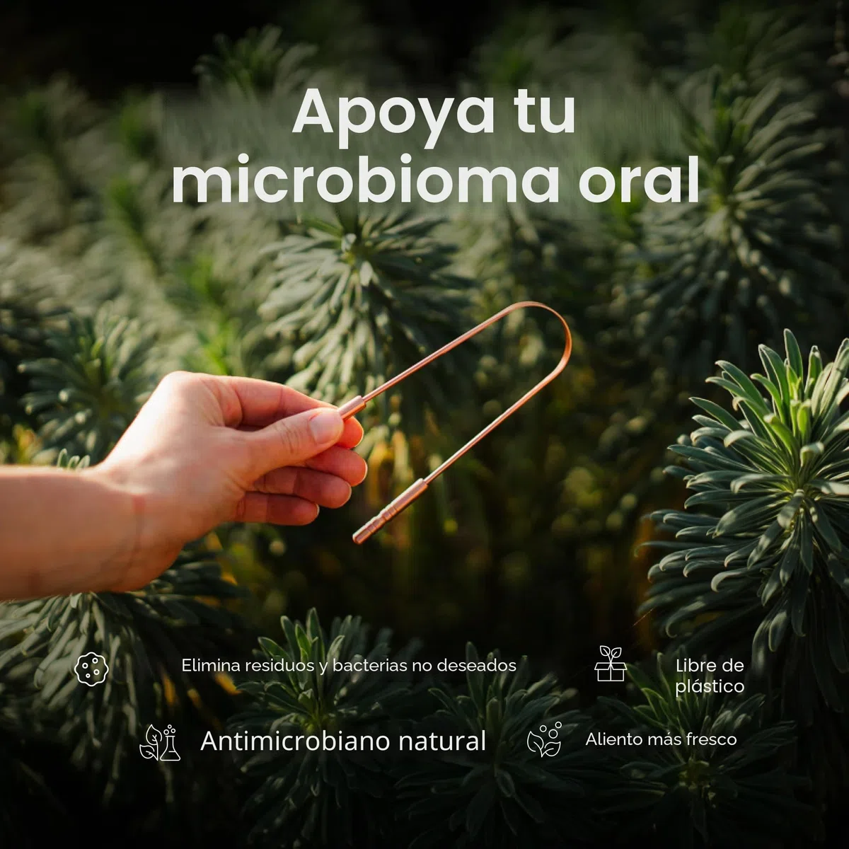 Gutology Rascador de lengua de 100% cobre puro – para un aliento más fresco – fácil de usar – ayuda a la higiene bucal