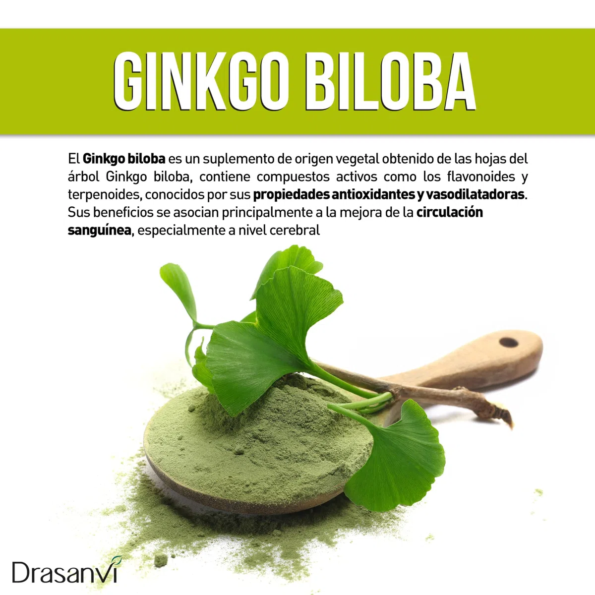 Ginkgo Biloba 30 Cápsulas Drasanvi | Extracto Estandarizado Alta Concentración | Apoyo a la Memoria, Concentración y Circulación | 1 Cápsula Diaria | Suplemento Natural