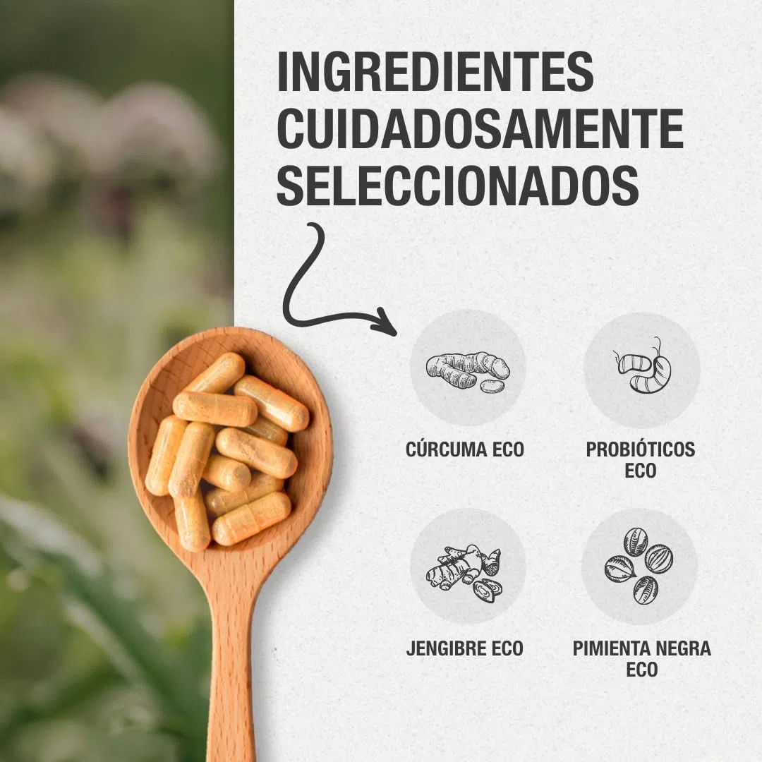 Cúrcuma con Jengibre y Pimienta Negra + Probióticos Eco. Cúrcuma Eco en cápsulas (2235 mg) con alta concentración de Curcumina. Potente Antiinflamatorio natural. Cúrcuma orgánica.120 cápsulas.