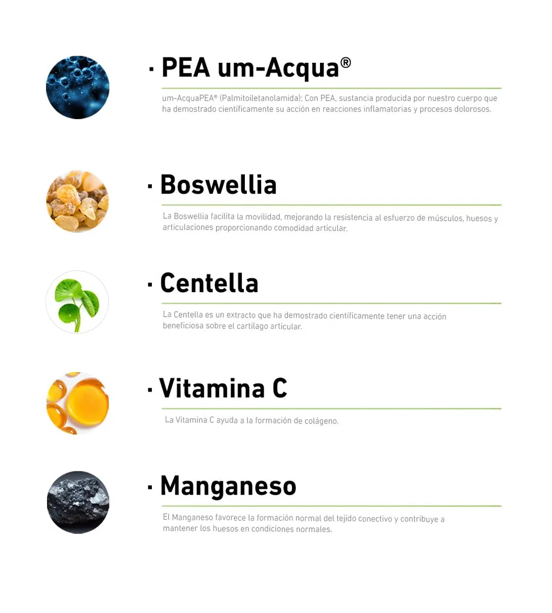 AlchemLife - Phytonodol 600 Arthoqule | Apoyo al Bienestar Articular y Movilidad | 14 Sobres con PEA 600 mg, Boswellia, Centella, Vitamina C y Manganeso | Tecnología de Alta Absorción