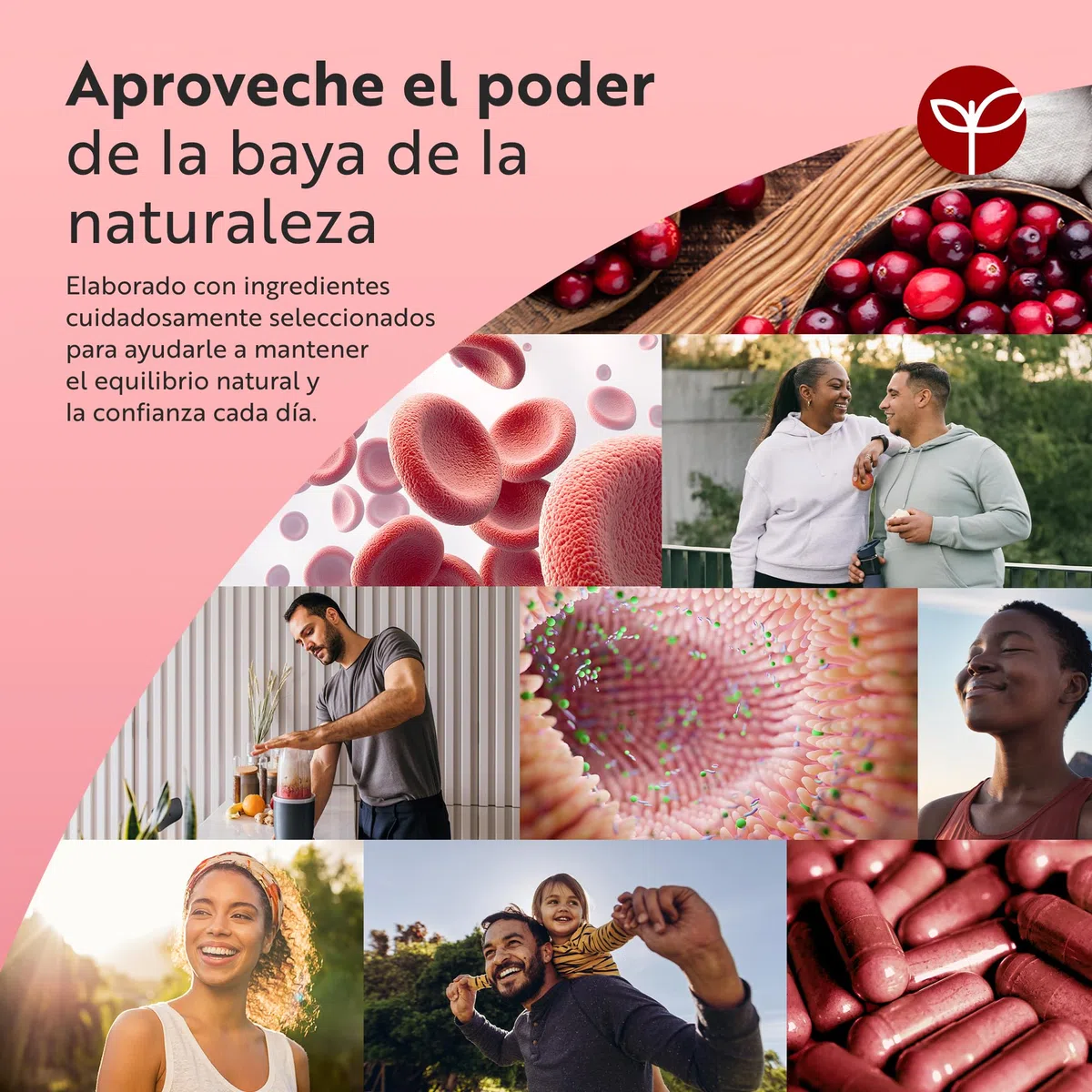 Nutravita Extracto de Arándano Rojo 37.500 mg Máxima Potencia – 180 Cápsulas Veganas – Suplemento Diario para Mujeres – Extracto Puro de Arándano 50:1 – Fabricado en el Reino Unido