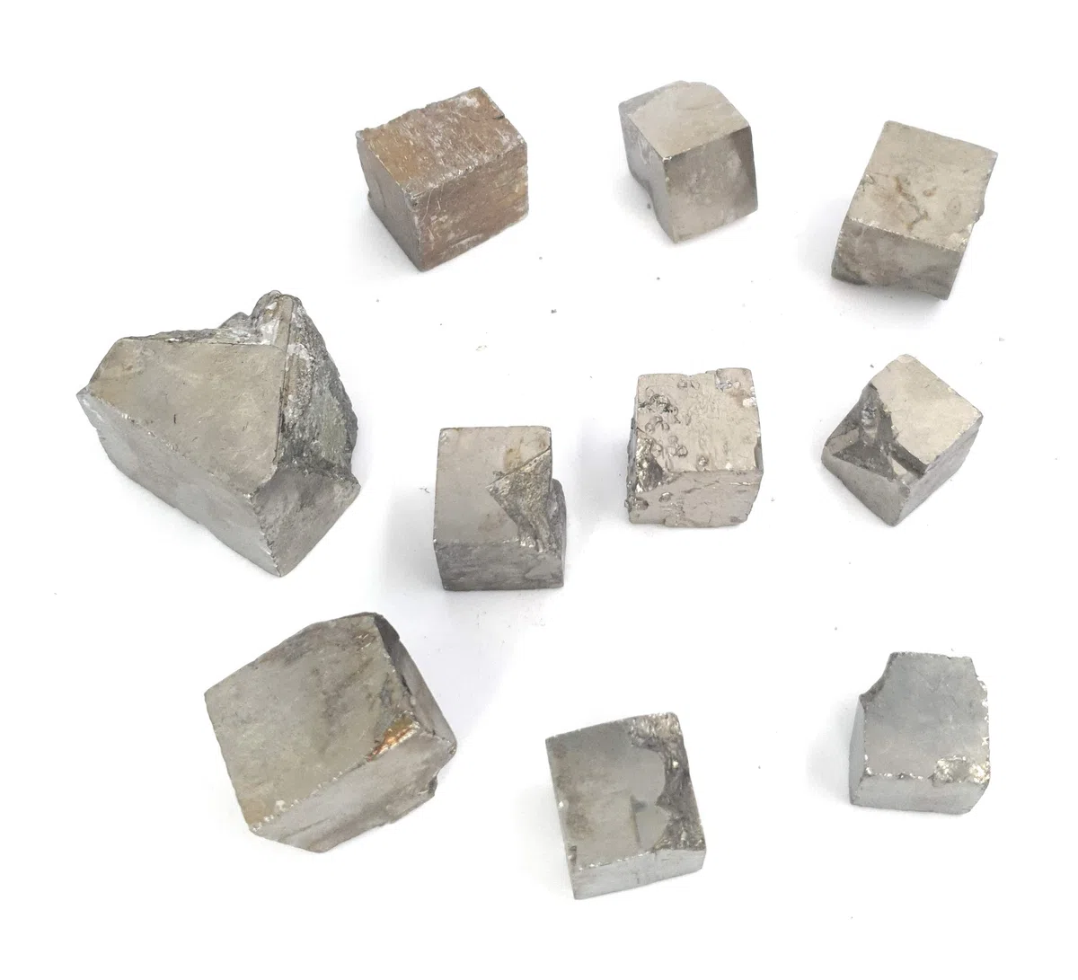 5 Piritas Cúbicas de Navajún La Rioja Pirita Piedra del Dinero Dorada Cubo Bruto Piedras Negocios Oro