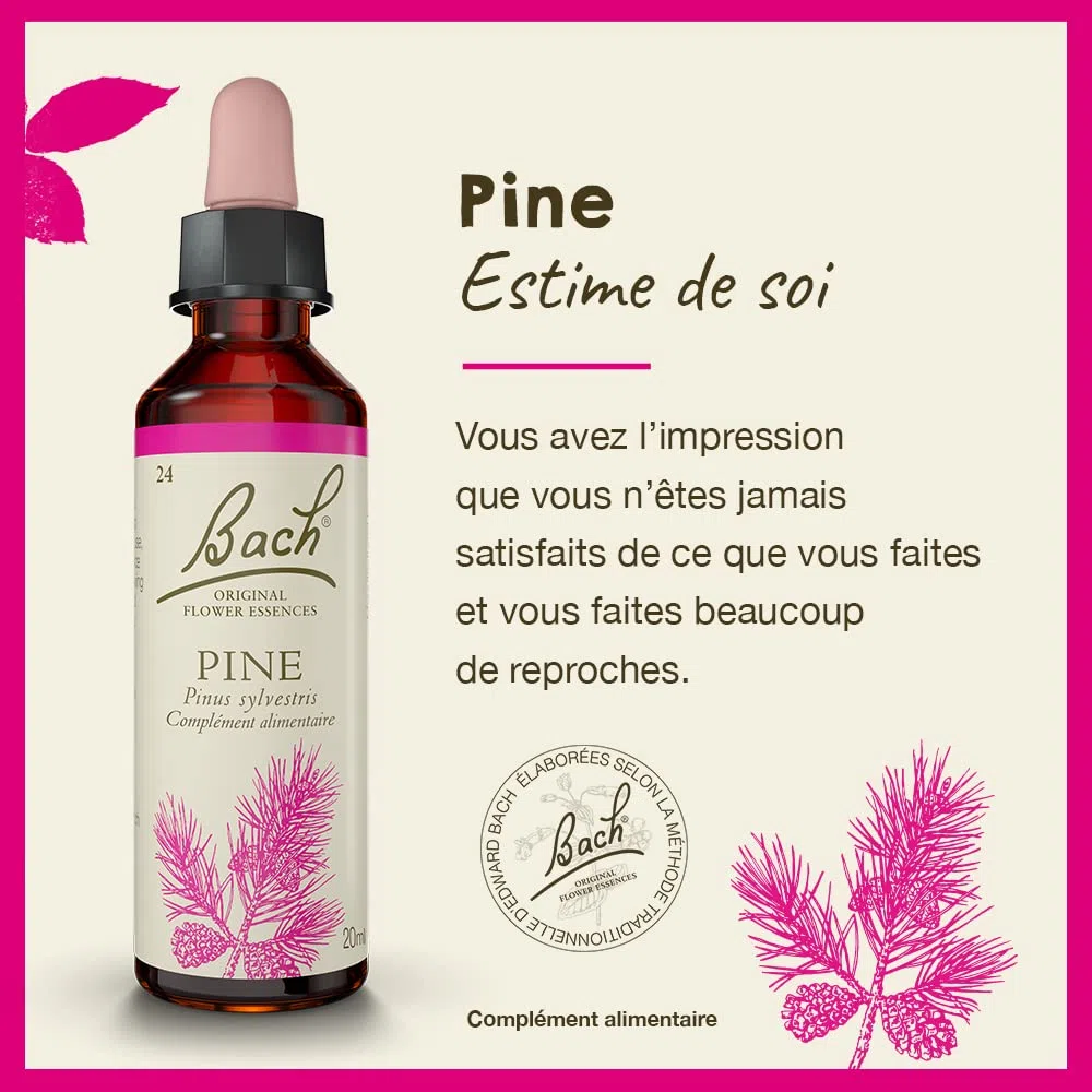 Fleurs de bach original n 24 pine - 20 ml