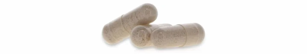 GINKGO BILOBA * 60 mg / 120 Cápsulas * Titulado al 24% min. de glucósidos de flavonol y al 6% min. de lactonas terpénicas * Cerebro