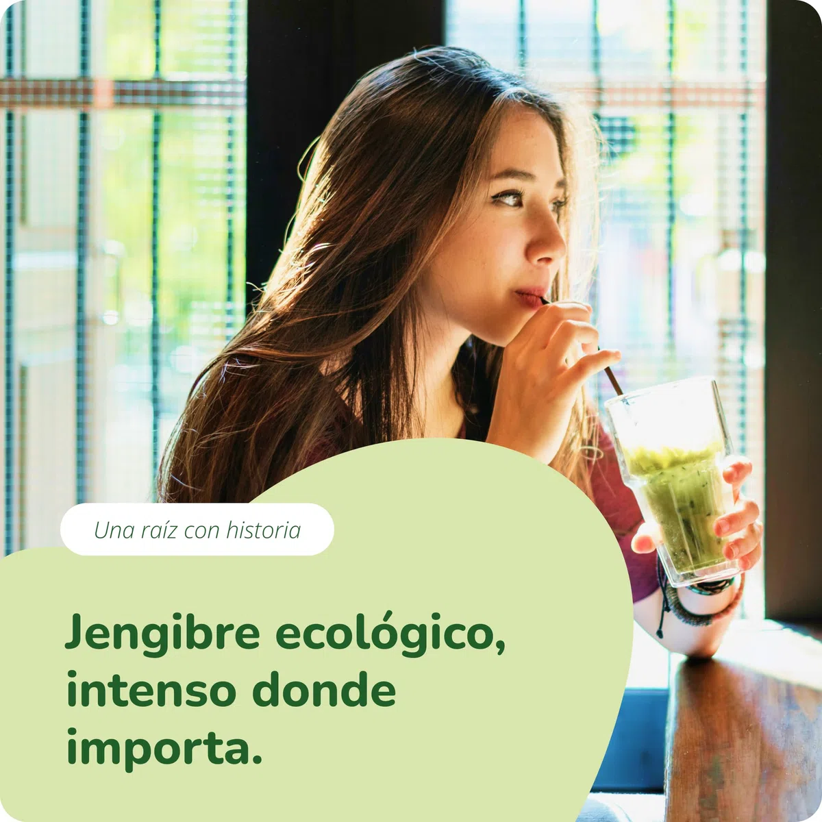 Jengibre BIO | Ginger ORGÁNICO | 120 Cápsulas | 650 mg por Cápsula | Náusea + Digestión + Dolor Menstrual | Sin Aditivos | Vegavero