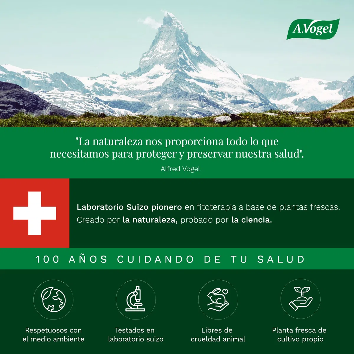 A.Vogel Menosan Salvia | Pastillas Natural para Sofocos en Menopausia y Sudoración Excesiva en Hombre y Mujer | Extracto Salvia Fresca | Toma de 1 Comprimido Diario | 30 comprimidos
