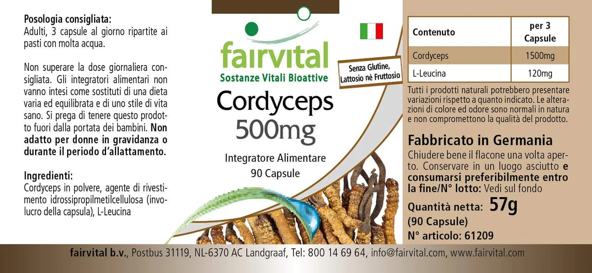 fairvital Cordyceps 500mg, 90 cápsulas, fáciles de tragar, 500mg de polvo de hongo Cordyceps por cápsula, ALTA DOSIS, Cordyceps sinensis (hongo de las orugas), VEGANO