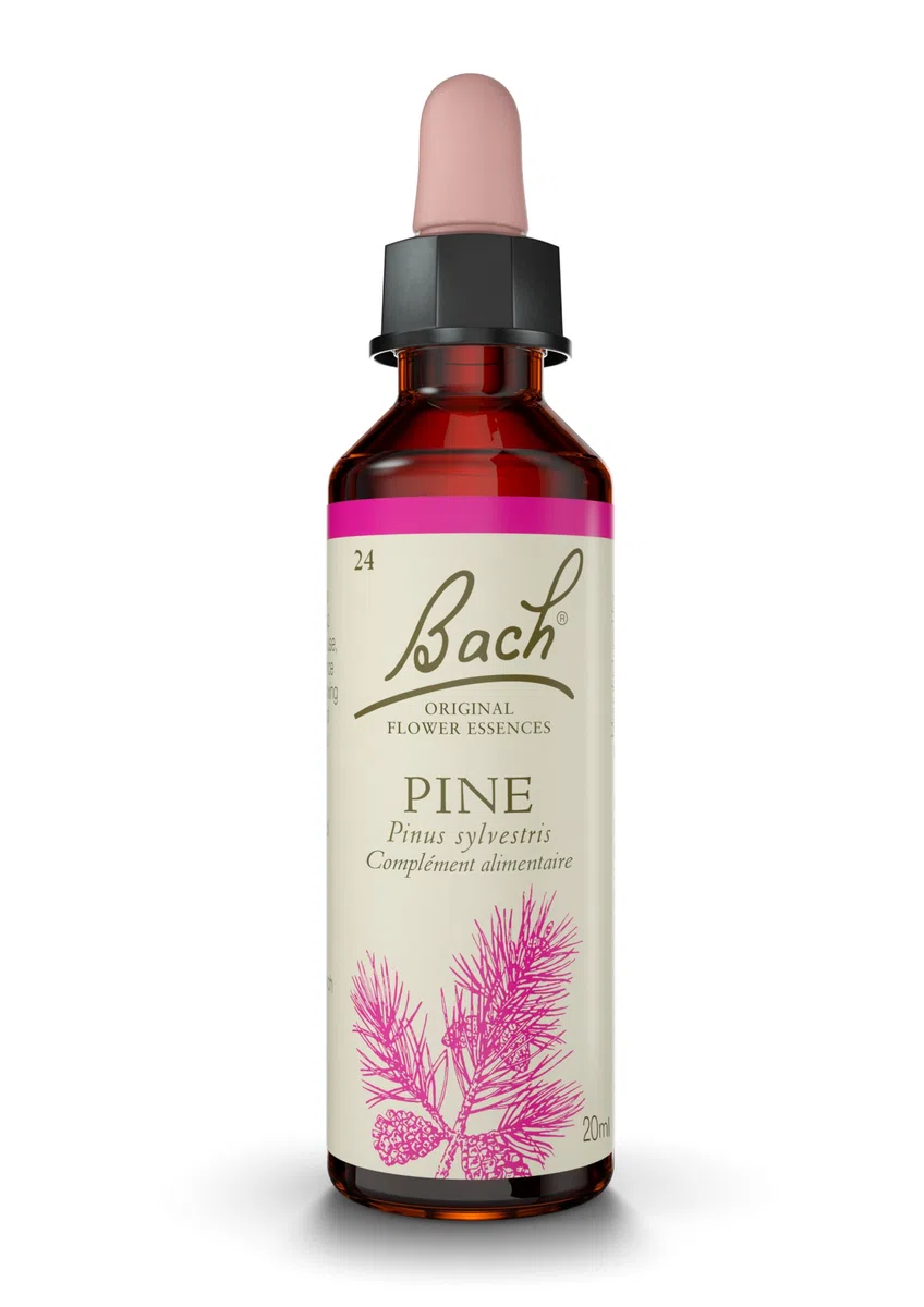 Fleurs de bach original n 24 pine - 20 ml