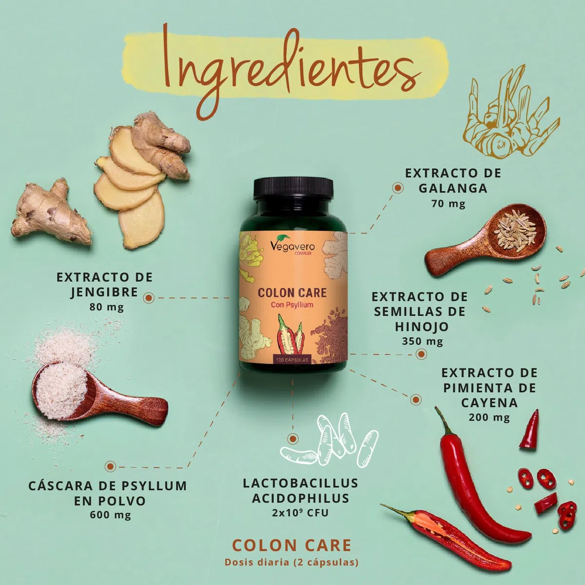 Vegavero Colon Irritable Complex | Psyllium Husk y Probioticos | Estreñimiento + Gases + Transito Intestinal | Flora & Cleanse | Vegan | 120 Cápsulas