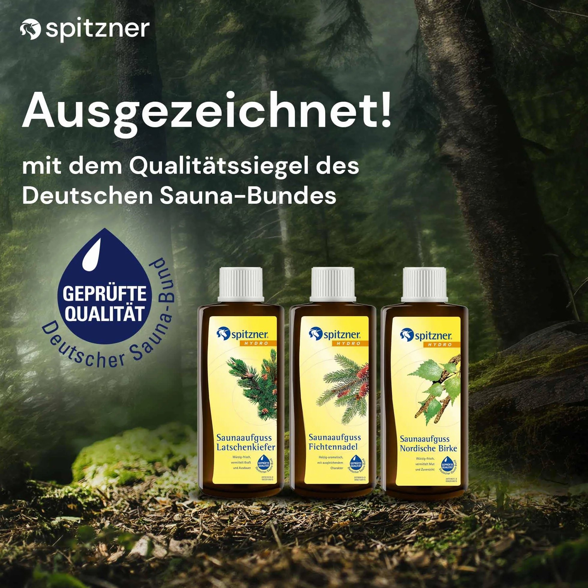 esencias aire del bosque, paseo por el bosque para saunas: „Agujas de abeto“ / „Pino de montaña“ / „Abedul nórdico“ (3x190 ml) de Spitzner