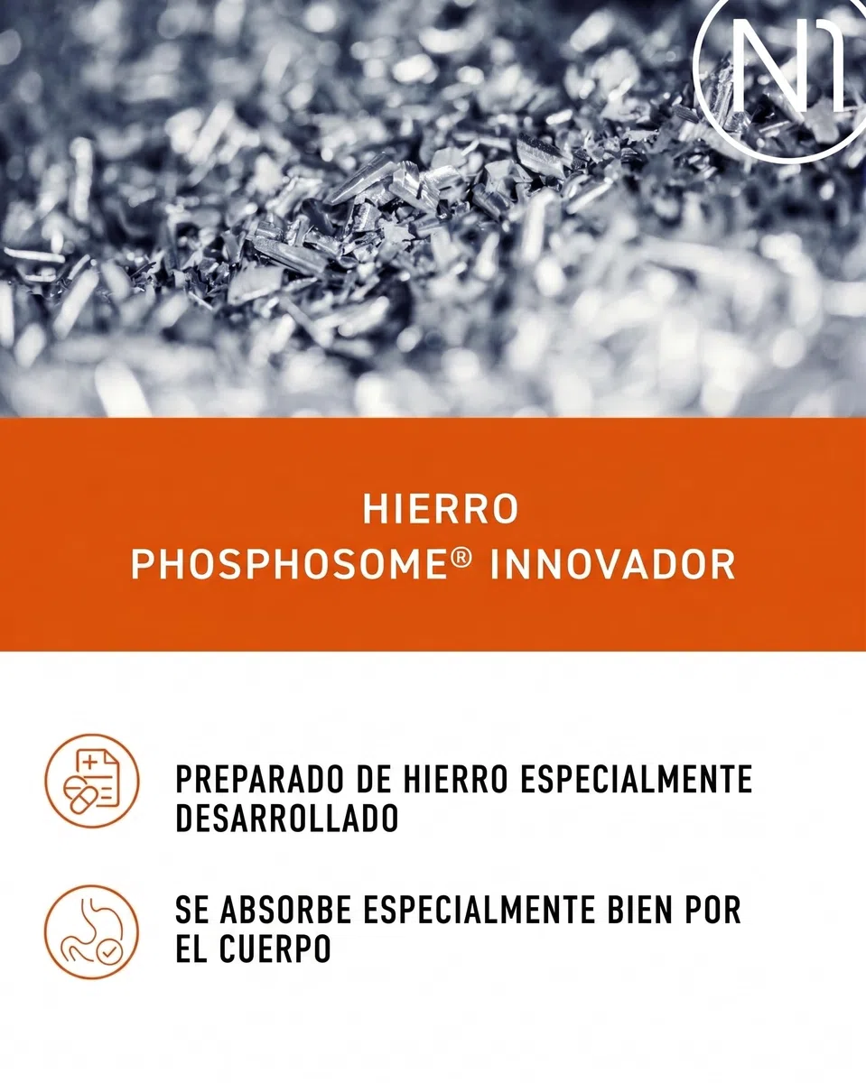 N1 Hierro 30 mg + vitamina C y ácido fólico - 30 tabletas de hierro - 98% de suplemento de hierro biodisponible - alta dosis para el sistema inmunológico, metabolismo energético y en caso de