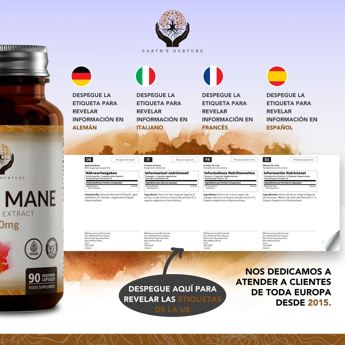 EN Melena de Leon Suplemento | 90 Cápsulas de Lions Mane | 1000mg Hongos Melana de Leon de Alta Potencia por Porción | Sin OGM, Gluten, Lácteos y Alérgenos | Hecho en el RU