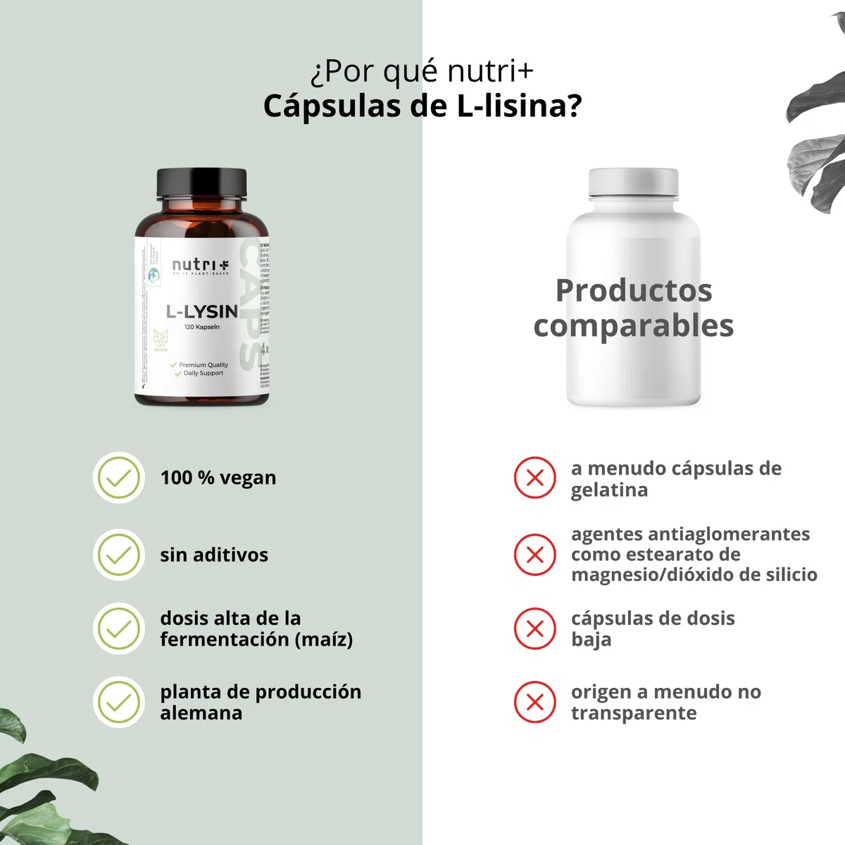 nutri + L-Lisina Cápsulas altas dosis + vegano - 2200mg por porción diaria - testado en laboratorio - 120 Caps 550mg cada una - bloque constructor de colágeno y tejido conectivo