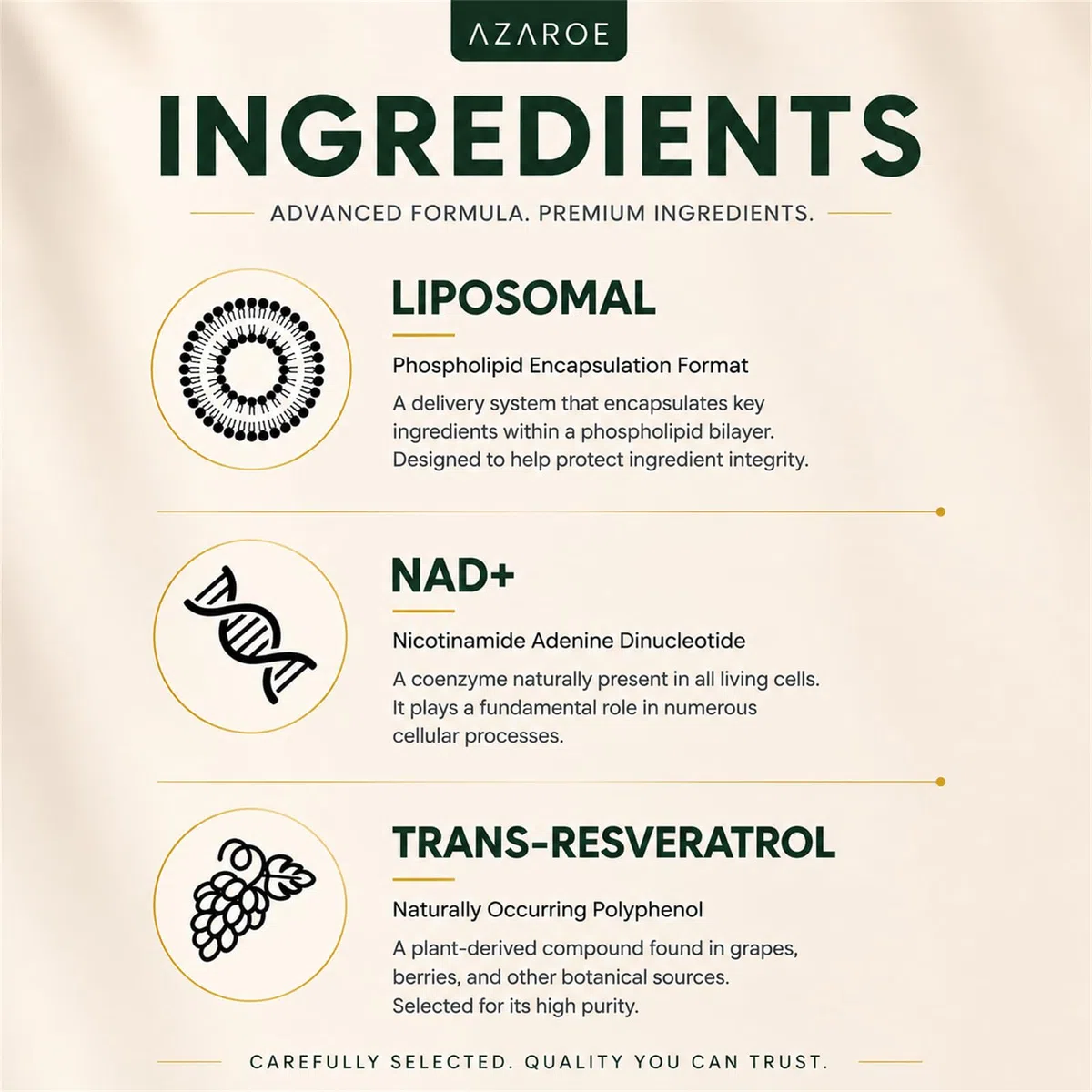 NAD+ liposomal y Trans-Resveratrol 800mg cápsulas blandas, alternativa más eficiente que el NMN, alta absorción, suplemento real de NAD+ para la reparación celular