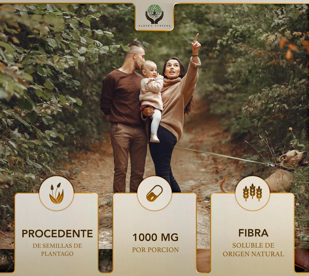 EN Psyllium | 180 Psyllium Husk Capsulas - 1000mg Psilyum Fibra por Porción | Fibra de Plantago Ovata | Psilium Husk Capsulas del Polvo | Sin OGM, Gluten ni Alérgenos | Fabricado en el RU