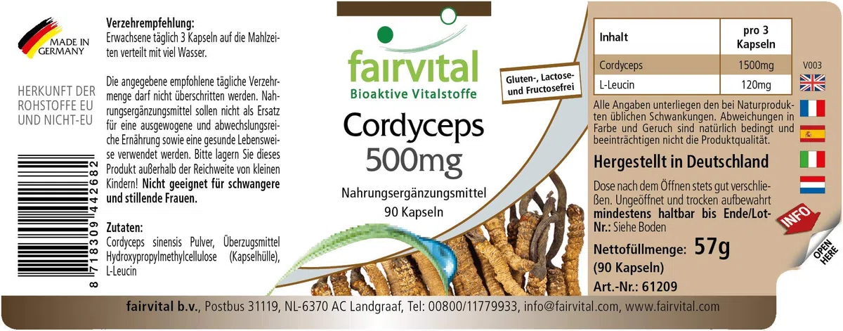 fairvital Cordyceps 500mg, 90 cápsulas, fáciles de tragar, 500mg de polvo de hongo Cordyceps por cápsula, ALTA DOSIS, Cordyceps sinensis (hongo de las orugas), VEGANO