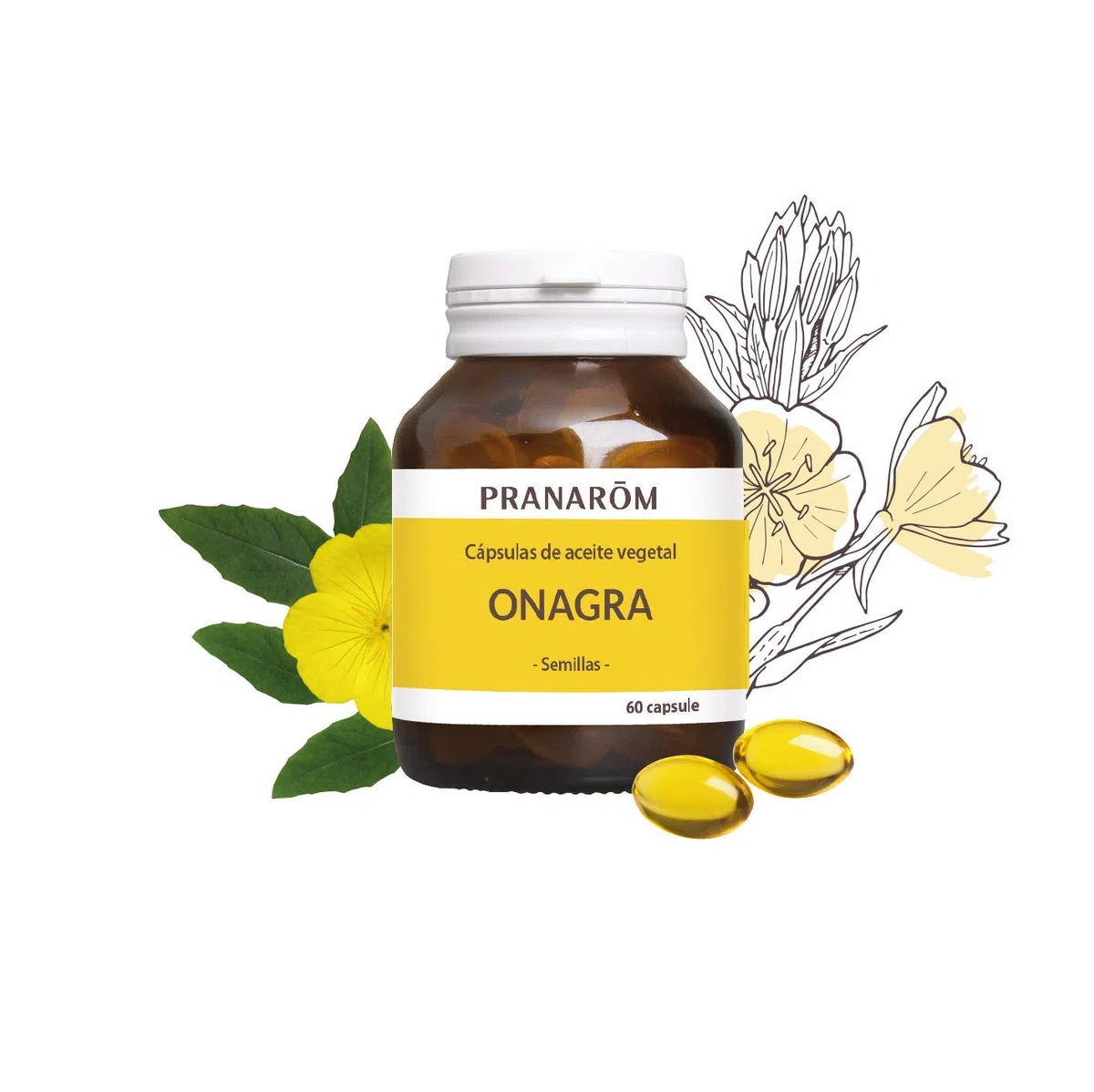 PRANAROM Aceite de Onagra BIO Virgen – 60 Cápsulas Blandas | Prensado en Frío | Omega 6 para Equilibrio Hormonal, Piel Radiante y Bienestar Femenino