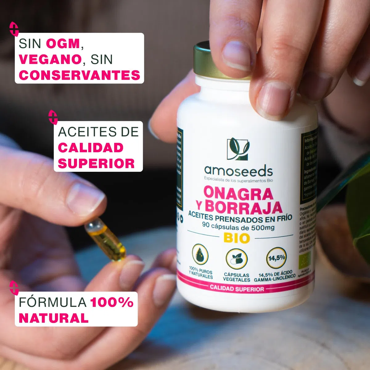 Aceite de Onagra y Borraja BIO | Primera presión en frío | 14,5% de ácido gamma-linolénico | 90 cápsulas vegetales, veganas | Primera Superior