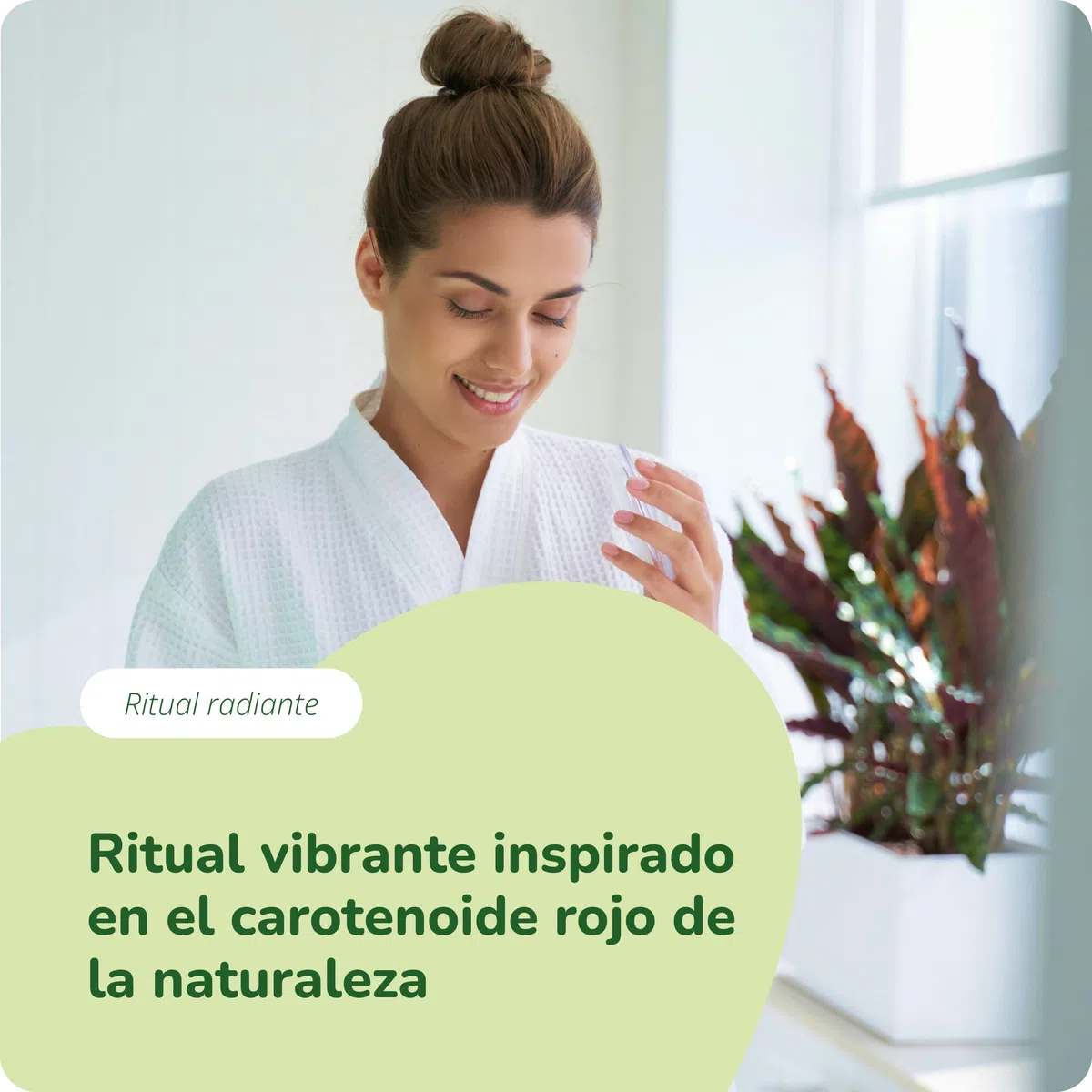 Astaxantina Pura Vegavero | 8 mg en Aceite (AstaZine) | 100% NATURAL | Sistema Inmune + Protector Solar + Antioxidante | Sin Aditivos | Vegano | 60 Cápsulas Sin Gelatina