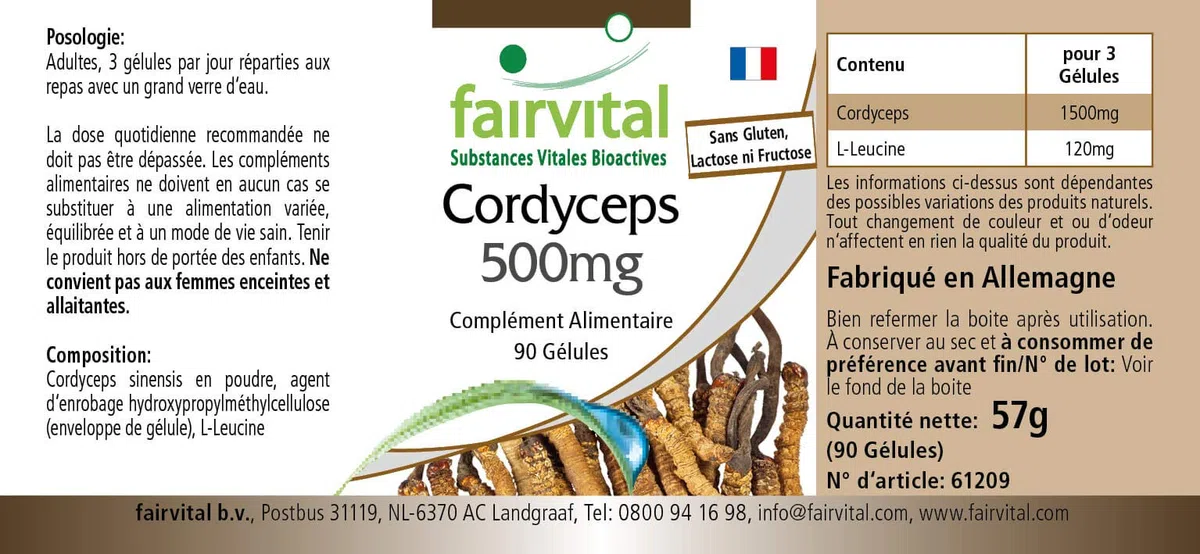 fairvital Cordyceps 500mg, 90 cápsulas, fáciles de tragar, 500mg de polvo de hongo Cordyceps por cápsula, ALTA DOSIS, Cordyceps sinensis (hongo de las orugas), VEGANO