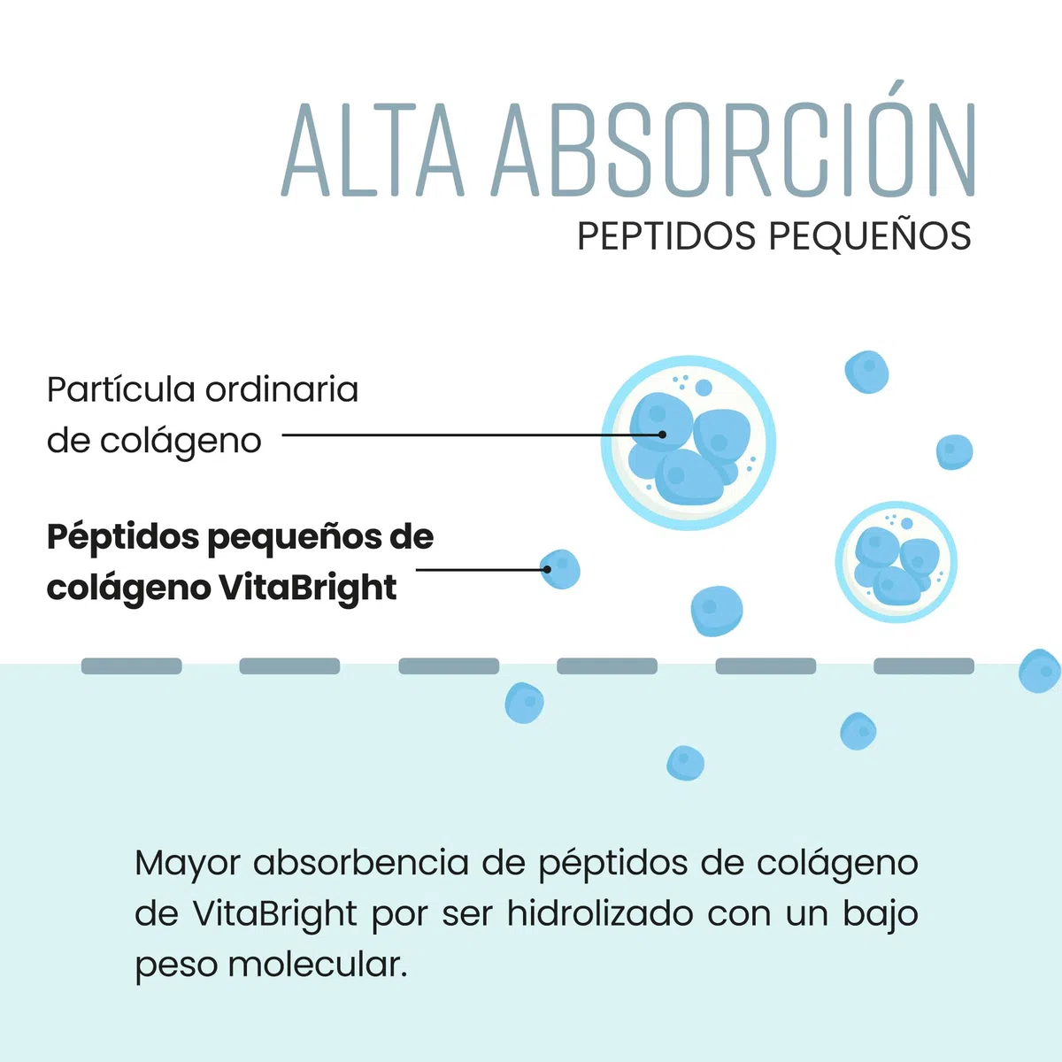 Colágeno Hidrolizado 500g | 50 Porciones | Péptidos de Colageno En Polvo Altamente Biodisponible Para Un Mejor Colageno Hidrolizado | Colágeno Sport Para Mujeres y Hombres | VitaBright