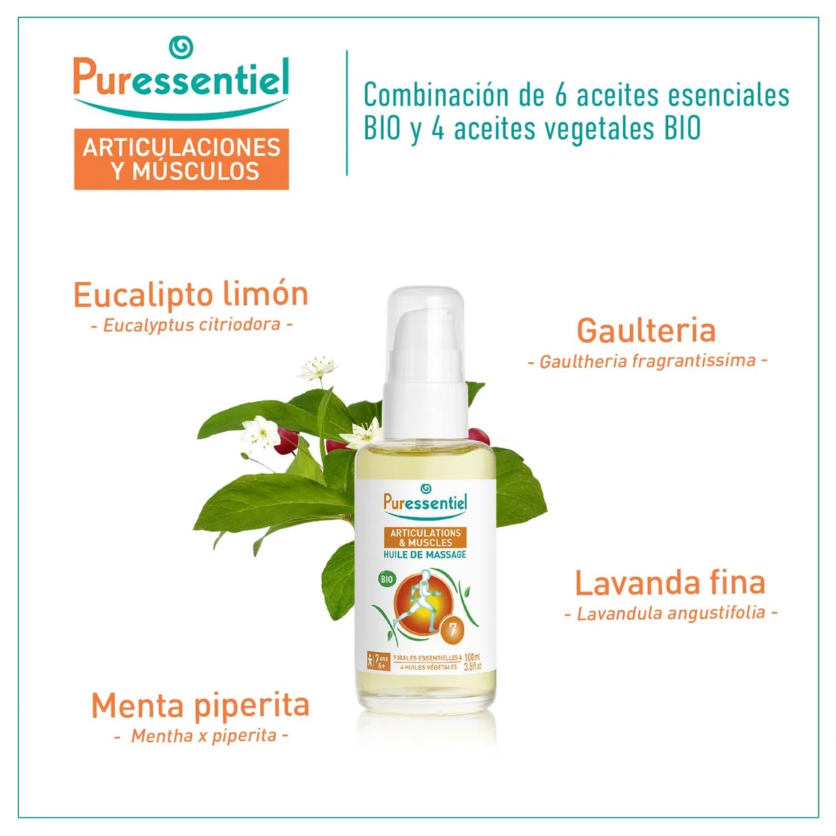Puressentiel Articulaciones y Músculos - Aceite de masaje BIO - Arnica y Gaulteria - Preparación y recuperación deportiva - 100 ml