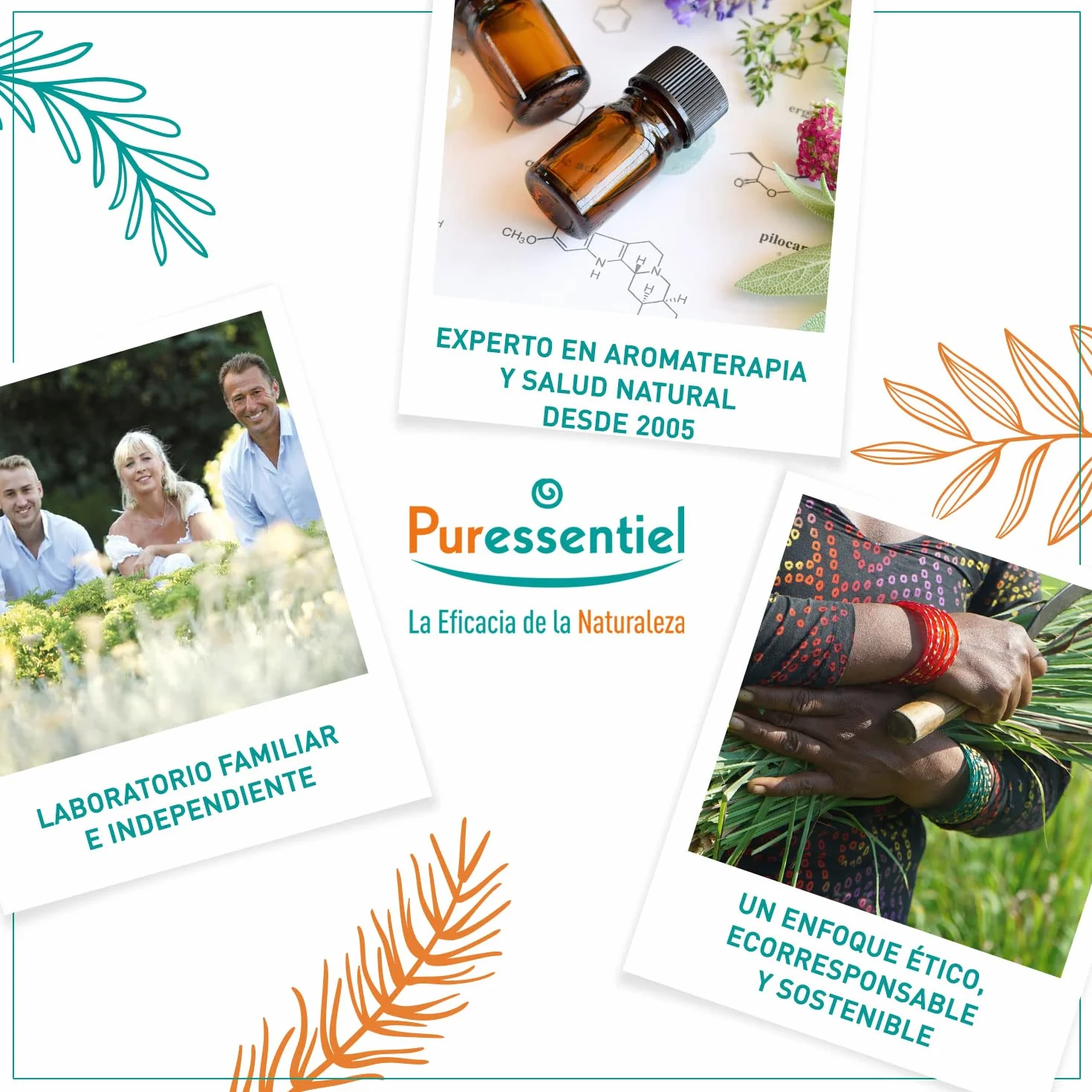Puressentiel Articulaciones y Músculos - Aceite de masaje BIO - Arnica y Gaulteria - Preparación y recuperación deportiva - 100 ml