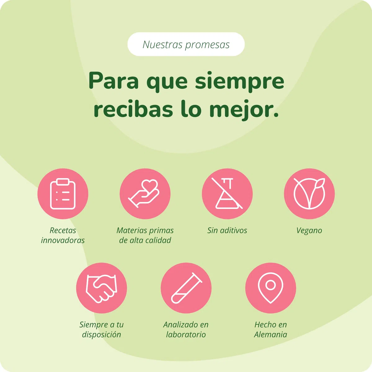 Jengibre BIO | Ginger ORGÁNICO | 120 Cápsulas | 650 mg por Cápsula | Náusea + Digestión + Dolor Menstrual | Sin Aditivos | Vegavero