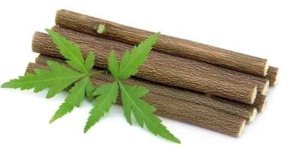 Ayurvedic Varillas de masticar de Neem Datun Oral Herbal Dientes & Lengua Limpiador (20 varillas)