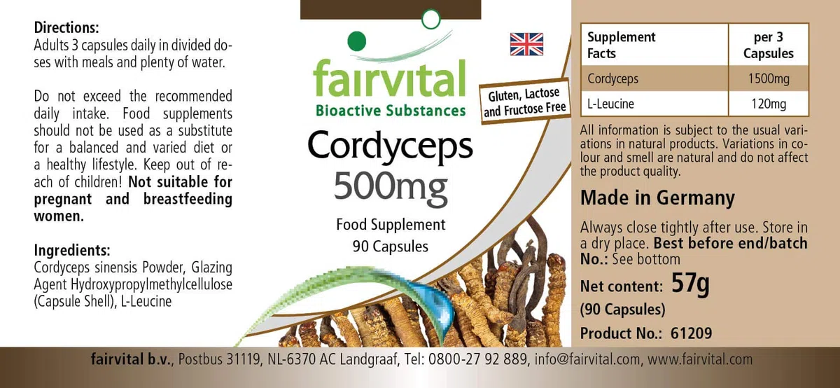 fairvital Cordyceps 500mg, 90 cápsulas, fáciles de tragar, 500mg de polvo de hongo Cordyceps por cápsula, ALTA DOSIS, Cordyceps sinensis (hongo de las orugas), VEGANO