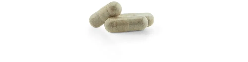 HIERRO DE ORIGEN VEGETAL (Murraya koenigii) * 233.5 mg / 60 cápsulas * Deficiencias (hemoglobina), Energia (fatiga), Inmunitario *