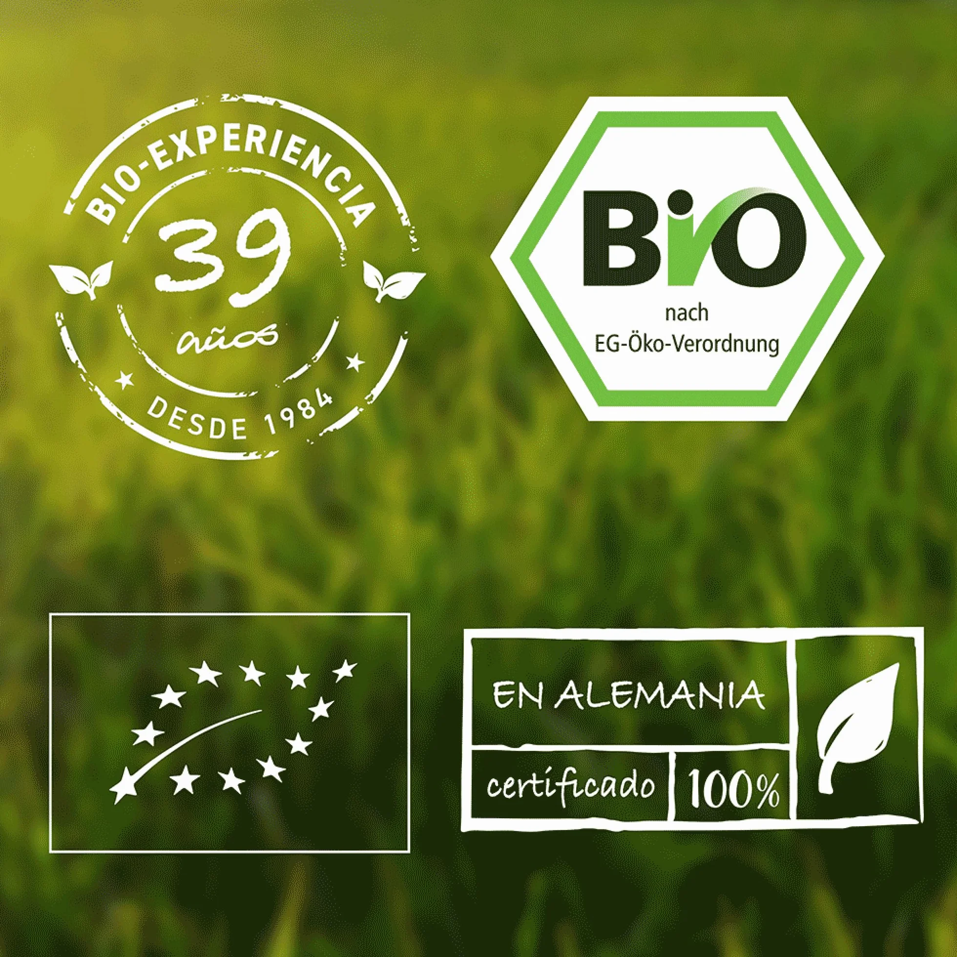 Biotiva Polvo de hierba de trigo orgánica 500 g - polvo fresco de hierba de trigo fina - llenado y verificado en Alemania (DE-ÖKO-005)