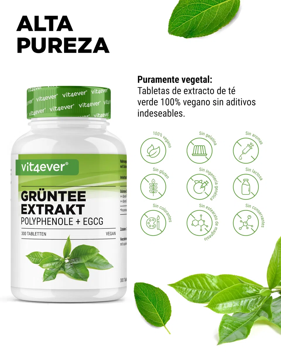 Extracto de Té Verde 300 Comprimidos dosis alta - 2000mg Extracto, 300mg EGCG & 1100mg Polifenoles por dosis diaria - Vegano
