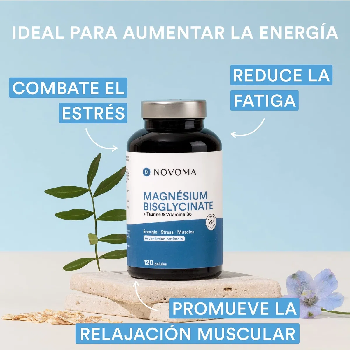 Magnesio 300 mg con Taurina y Vitamina B6 | Alta Dosis | Bisglicinato de Magnesio Biodisponible | Antifatiga y Antiestrés | 120 Cápsulas | Fabricado en Francia | NOVOMA (ex Nutrivita)