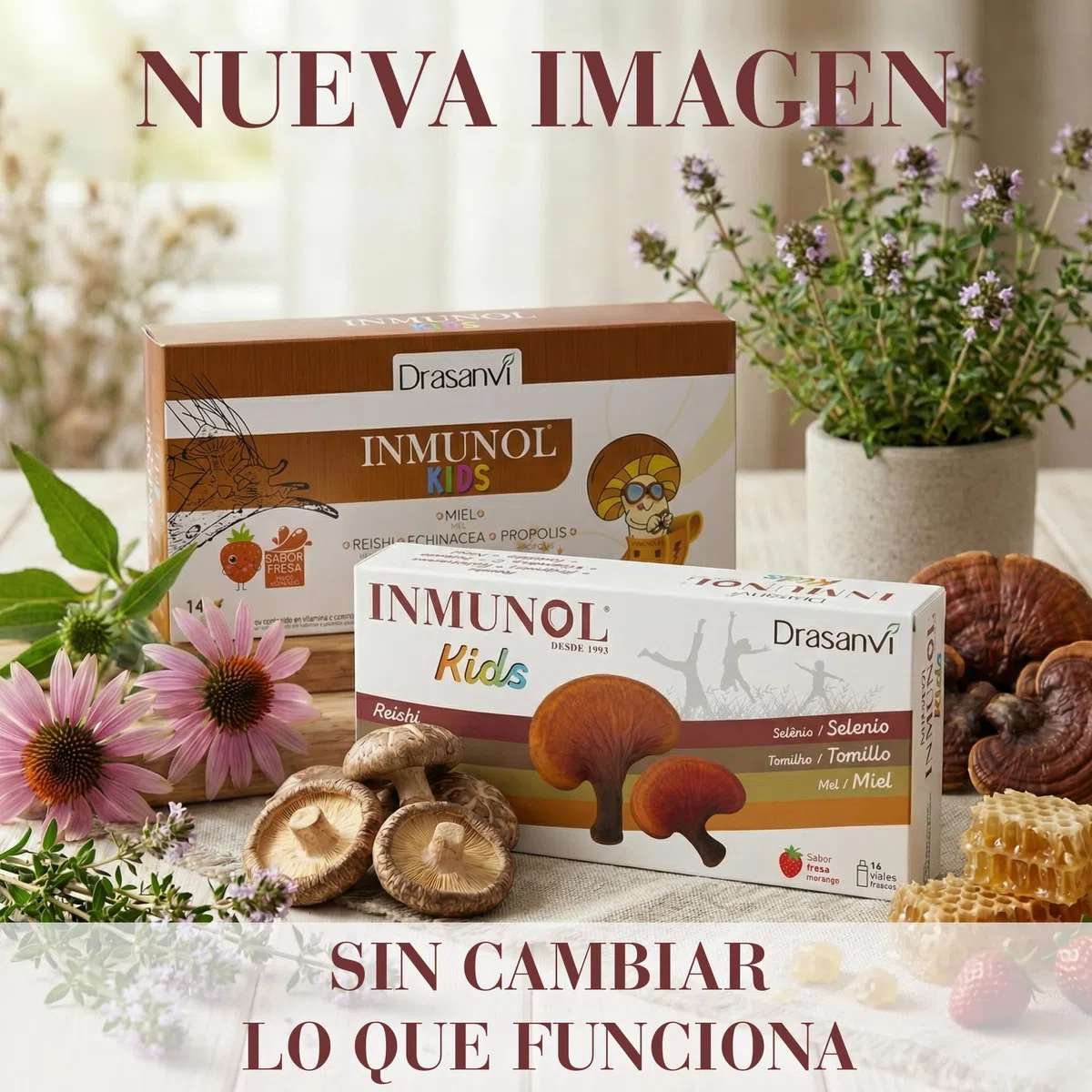 INMUNOL KIDS 14X10ML VIALES DRASANVI