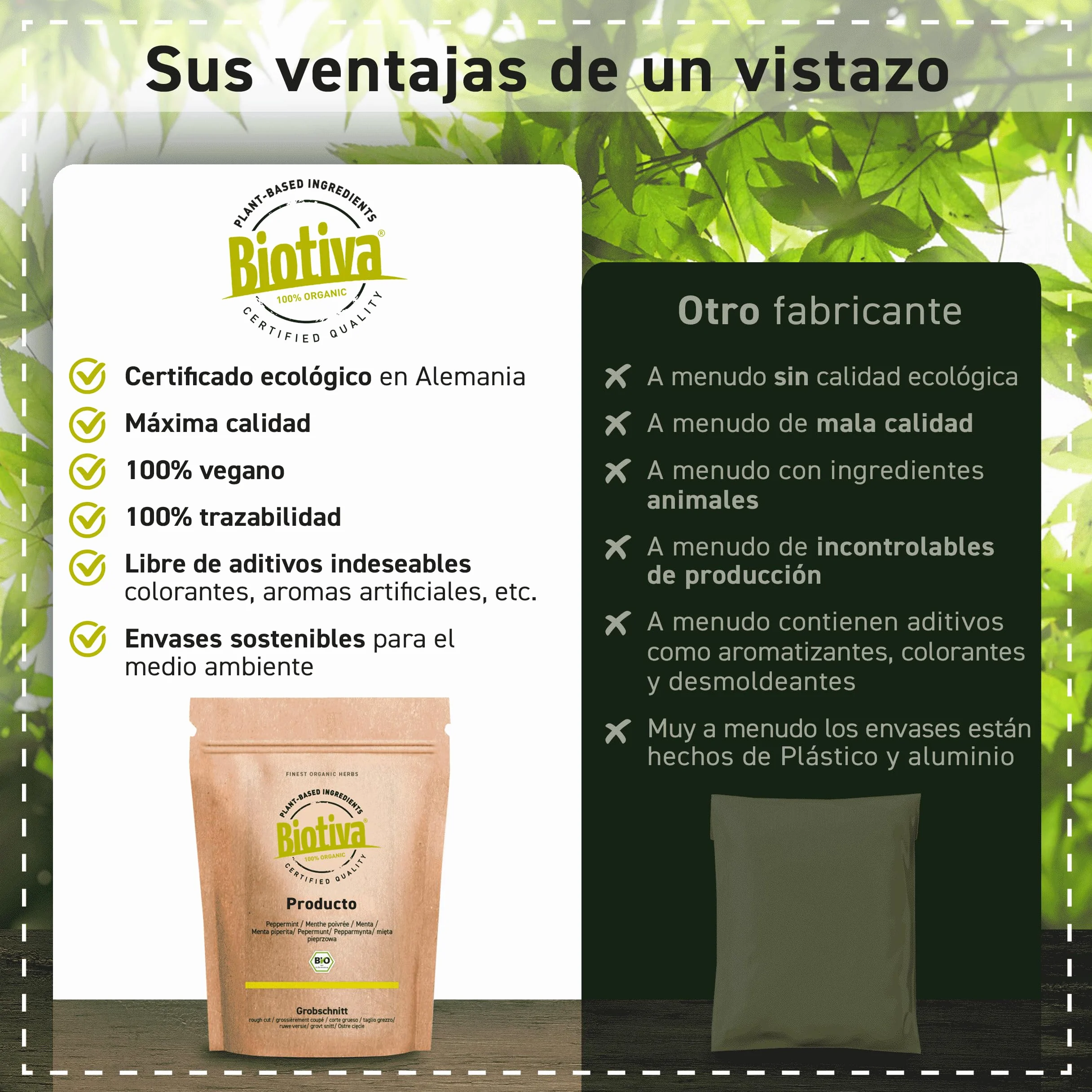 Biotiva Polvo de hierba de trigo orgánica 500 g - polvo fresco de hierba de trigo fina - llenado y verificado en Alemania (DE-ÖKO-005)